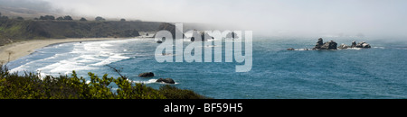 Un panorama d'un Cove le long de la route de la Californie 1 près de Big Sur, USA Banque D'Images