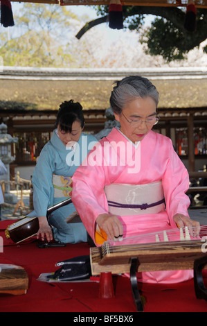 Femme jouant un Koto, un instrument de musique à cordes traditionnel japonais, Kyoto, Japon, Asie Banque D'Images