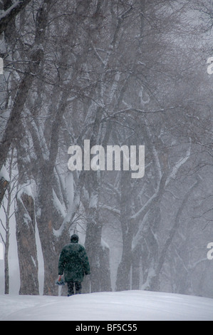 Homme marchant dans une tempête de neige lourde Banque D'Images