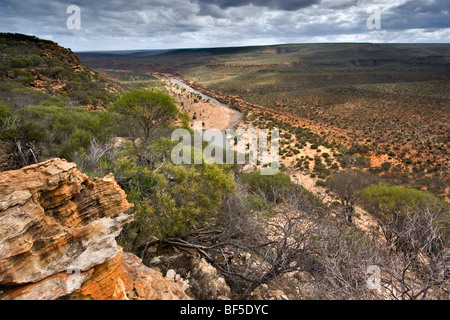 En regardant vers la Murchison River qui coule à travers les gorges du Parc National de Kalbarri à partir de la boucle Lookout. W L'Australie Banque D'Images