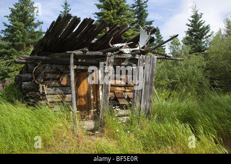 Vieux trappeur's log cabin à Hootalinqua, moose antlers, confluent du fleuve Yukon et de la rivière Teslin, Territoire du Yukon, Canada Banque D'Images