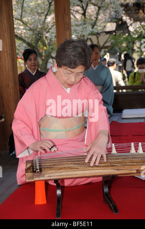 Femme jouant un Koto, un instrument de musique à cordes traditionnel japonais, Kyoto, Japon, Asie Banque D'Images