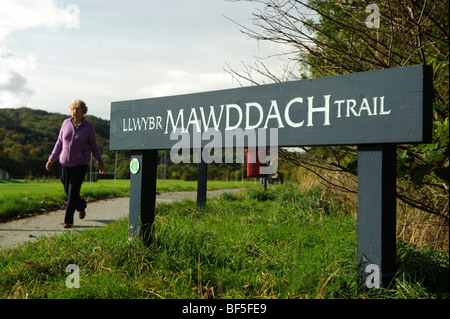 Une femme mature en marchant le long du Mawddach Trail à Dolgellau, Gwynedd, le parc national de Snowdonia, le Pays de Galles UK Banque D'Images