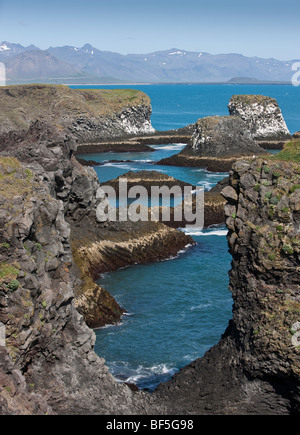 Arnarstapi, falaises d'oiseaux, Péninsule de Snæfellsnes, l'Islande Banque D'Images