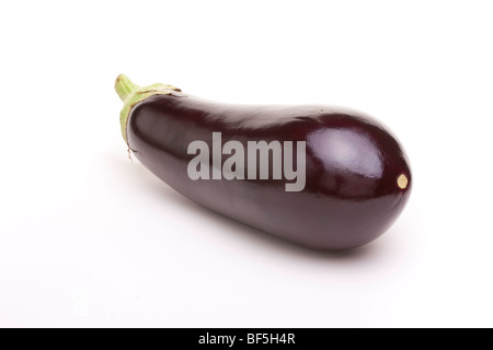 Grand brillant foncé Aubergine pourpre isolés contre fond blanc. Banque D'Images