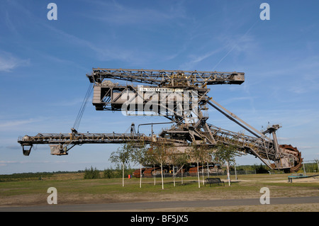 Grande roue-pelle roue-godet, Ferropolis, Ville de fer, Saxe-Anhalt, Allemagne, Europe Banque D'Images