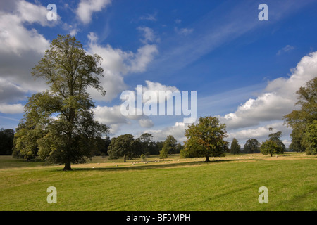 Entourant un parc Thirlestane Castle Banque D'Images