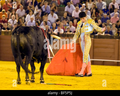 Face à la toréador taureau au cours de Corrida corrida à Séville, Espagne Banque D'Images