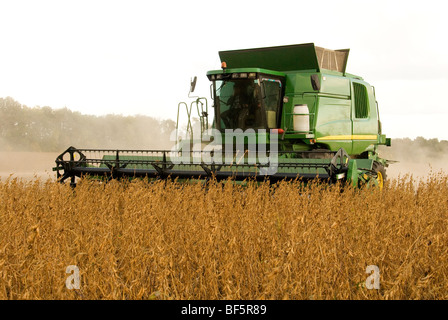 John Deer combiner la récolte de soja, de l'Ukraine Banque D'Images