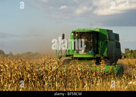 John Deer combiner la récolte du maïs, de l'Ukraine Banque D'Images