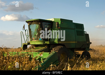 Une moissonneuse-batteuse la récolte d'un domaine Banque D'Images