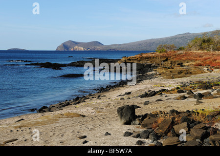 Puerto Egas Bay, l'île de Santiago, îles Galapagos, Equateur, Amérique du Sud Banque D'Images