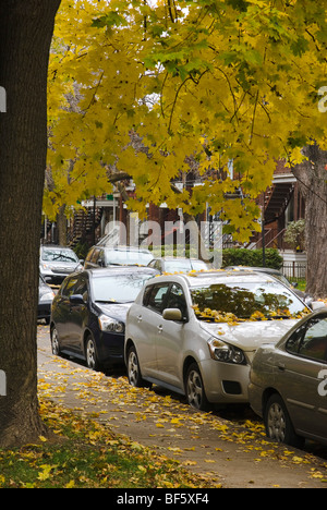 Voitures garées dans une rue de Montréal à l'automne. Montréal, Québec, Canada. Banque D'Images