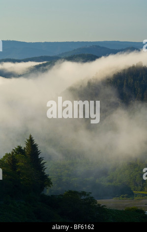 Matin brouillard côtier sur la forêt et les collines près de l'embouchure du fleuve Klamath, Redwood National Park, Californie Banque D'Images