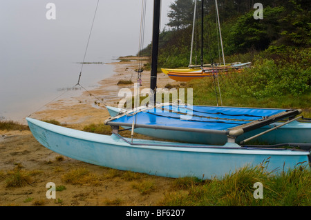 Voiliers Catamaran sur la plage au grand lagon, lagunes Humboldt State Park, Californie Banque D'Images