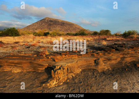 Puerto Egas Bay, l'île de Santiago, îles Galapagos, Equateur, Amérique du Sud Banque D'Images