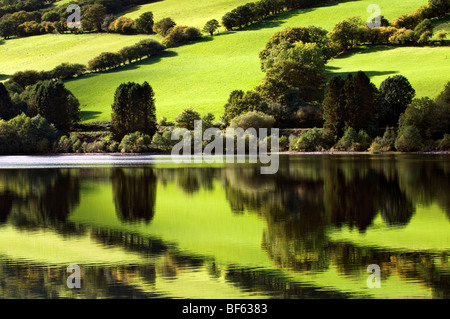 Reflet parfait de champs verts à Talybont réservoir, Brecon Beacons au Pays de Galles prises sur belle journée ensoleillée Banque D'Images