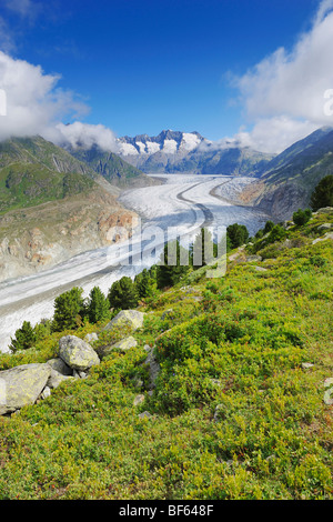 Glacier d'Aletsch, classé au Patrimoine Mondial de l'UNESCO Jungfrau-Aletsch-Bietschhorn, Conthey, Valais, Suisse, Europe Banque D'Images