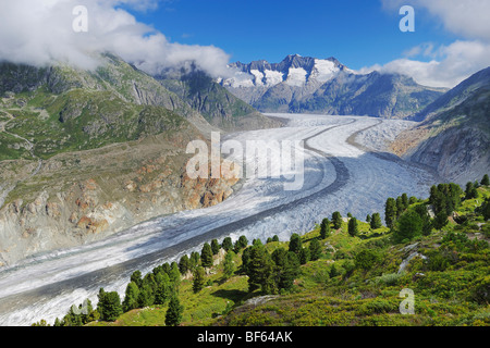 Glacier d'Aletsch, classé au Patrimoine Mondial de l'UNESCO Jungfrau-Aletsch-Bietschhorn, Conthey, Valais, Suisse, Europe Banque D'Images