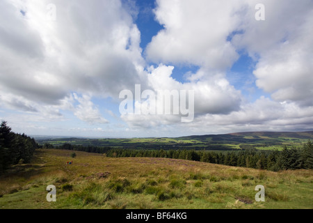 A Beacon Country Park dans le Lancashire Banque D'Images