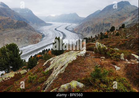 Glacier d'Aletsch, classé au Patrimoine Mondial de l'UNESCO Jungfrau-Aletsch-Bietschhorn, Conthey, Valais, Suisse, Europe Banque D'Images