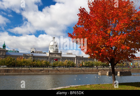 Automne dans le parc du Bassin Bonsecours à Montréal, Canada Banque D'Images