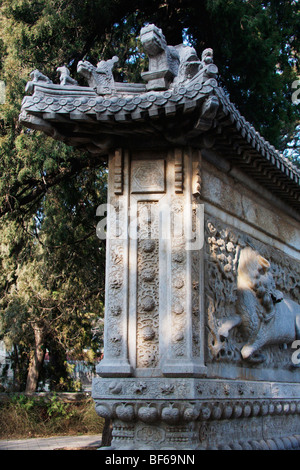 Détails d'exquise Pailou en Temple Biyun, collines odorantes, Beijing, Chine Banque D'Images