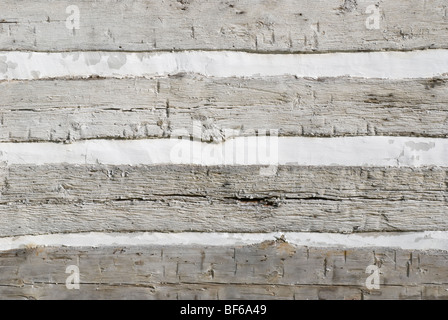 Stock photo de cabane en montrant les murs extérieurs de parement et de remplissage de mortier en bois taillées à la main. Banque D'Images