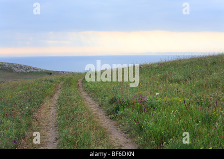 Prairies sur la côte de la mer d'été en soirée et dans l'eau reflets soleil Banque D'Images