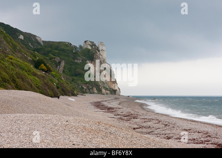 Branscombe beach dans le Dorset, en Angleterre. Banque D'Images