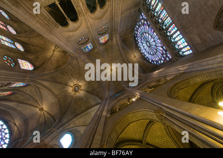 L'intérieur de la Cathédrale Notre Dame de Paris, France. À la recherche vers le plafond Banque D'Images