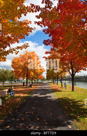 Automne dans le parc du Bassin Bonsecours à Montréal, Canada Banque D'Images