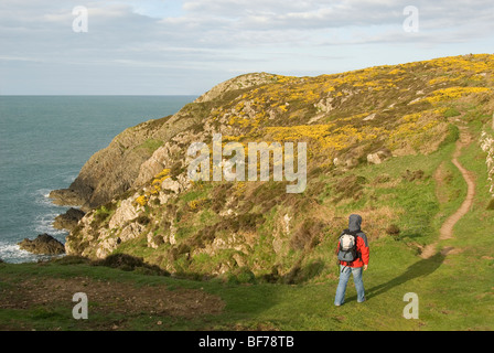 Walker sur coastpath, Parc National de Pembrokeshire, Pays de Galles, Royaume-Uni Banque D'Images