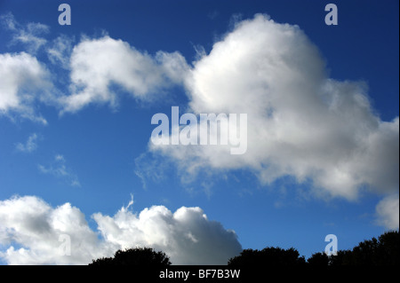 Des nuages blancs de rassembler contre un ciel bleu Banque D'Images