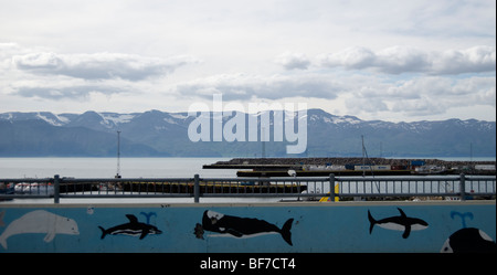 Avec mur peint sur les baleines, Husavik, l'Islande Banque D'Images