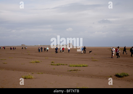 Une visite guidée à pied de Walney Island à l'île de Piel à travers le sable. Banque D'Images