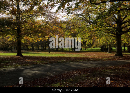 War Memorial Park Coventry Coventry Warwickshire Angleterre Banque D'Images