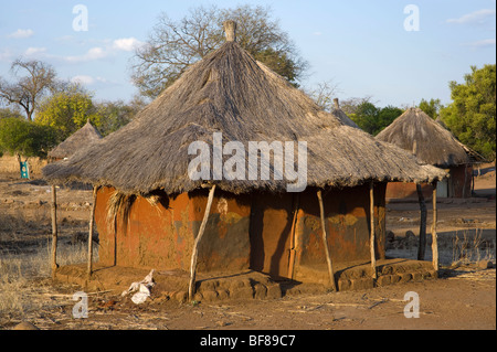 Dans Nsongwe traditionnelles huttes zambien village près de Livingstone. Banque D'Images