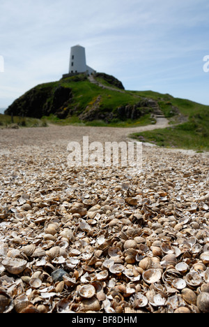 Sea Shell chemin menant à Tŵr Mawr phare sur Ynys Llanddwyn, Anglesey Banque D'Images