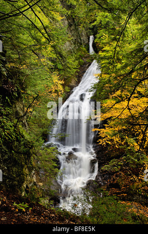 Moss Glen Falls dans la région de Lamoille Comté, Vermont Banque D'Images