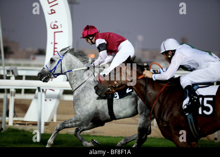 Deux chevaux course vers la ligne d'arrivée à Doha, au Qatar, dans la deuxième course de la cinquième réunion de la saison 2009-2010 Banque D'Images