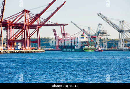 Un remorqueur tire sur un porte-conteneurs dans la baie Elliott dans le port de Seattle, Seattle, WA USA. Banque D'Images