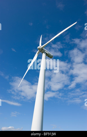 Ferme éolienne de production d'énergie 35m de hauteur au moyeu et ont un diamètre de rotor de 37m Banque D'Images