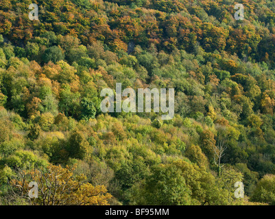 Couleurs d'AUTOMNE DANS LA VALLÉE DE LA WYE FRONTIÈRE DU PAYS DE GALLES ET L'ANGLETERRE Banque D'Images