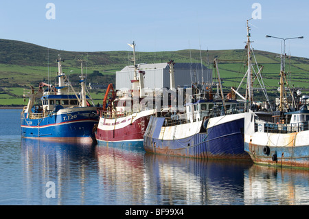 Chalutiers colorés et les navires de pêche amarré dans le port de Dingle en Irlande, de l'Union européenne Banque D'Images