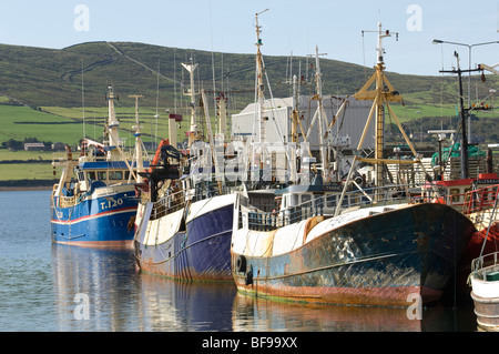 Chalutiers colorés et les navires de pêche amarré dans le port de Dingle en Irlande, de l'Union européenne Banque D'Images