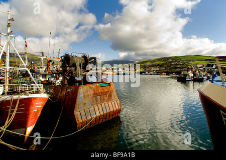 Chalutiers colorés et les navires de pêche amarré dans le port de Dingle en Irlande, de l'Union européenne Banque D'Images