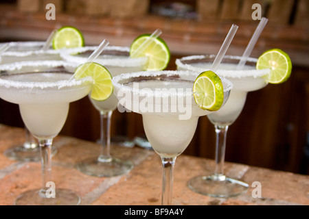 Marguerite boisson à base de tequila. Le Mexique Banque D'Images