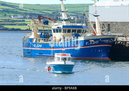 Chalutiers colorés et les navires de pêche amarré dans le port de Dingle en Irlande, de l'Union européenne Banque D'Images