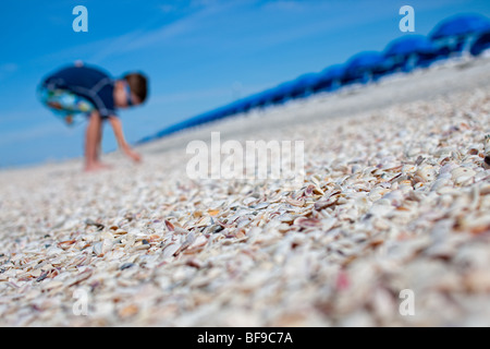 Des coquillages sur la plage de Clearwater, Floride Banque D'Images